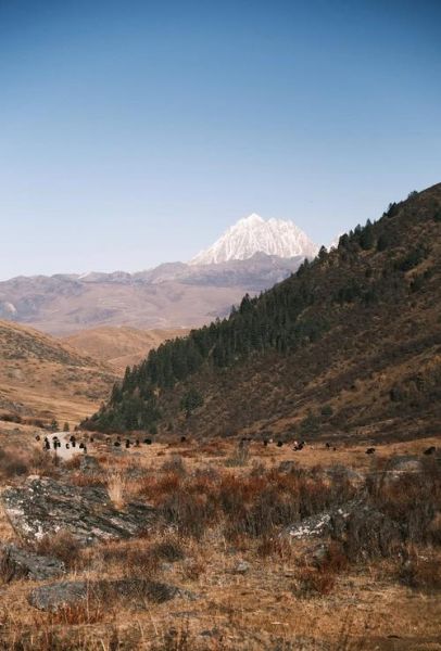 孕妇可以上高原吗_孕妇去高原注意事项