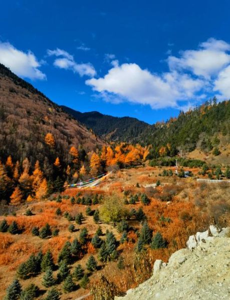 林芝会不会高反_林芝高原反应严重吗