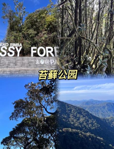 金马伦高原地图_怎么玩最顺