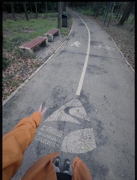 上海适合徒步的地方有哪些_上海户外露营地点推荐