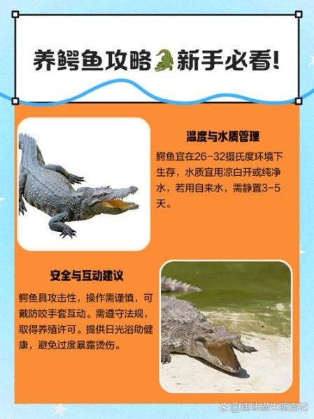 高原能养鳄鱼吗_高原养鳄鱼需要什么条件