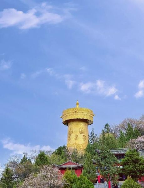 孕妇可以去高原吗_高原旅行注意事项