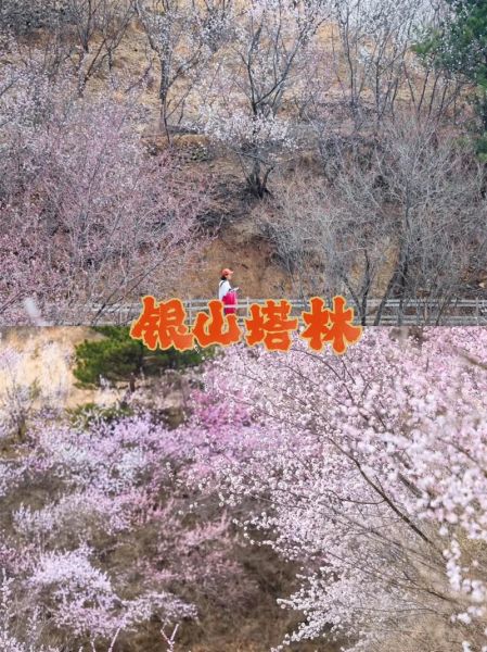 6371户外是什么_6371户外值得去吗