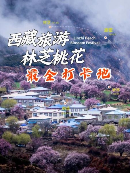 高原桃花源门票多少钱_高原桃花源门票优惠政策