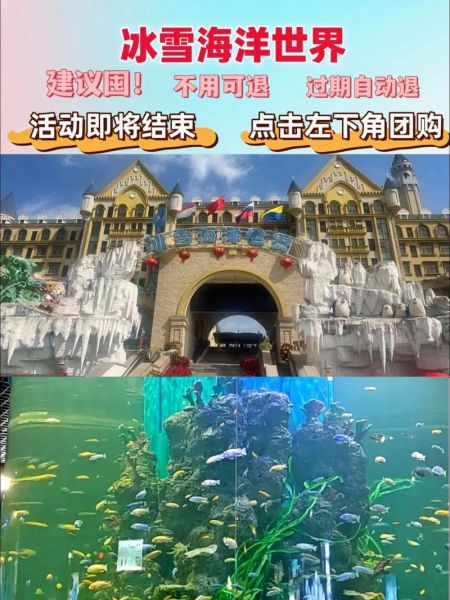 冰雪海洋世界主题公寓值得住吗_亲子家庭怎么玩