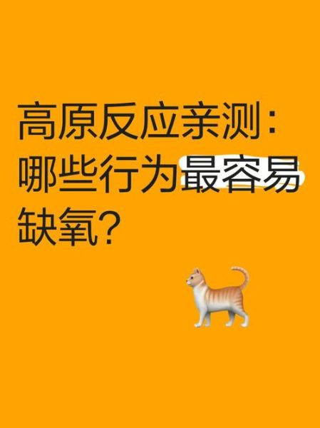 怎么测试高原反应_高原反应自测方法