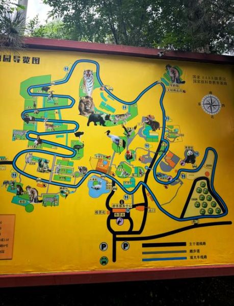 青藏高原野生动物园门票多少钱_如何购票最划算