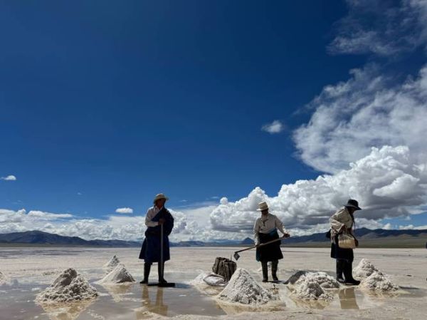 南平高原在哪里_南平高原海拔多少米