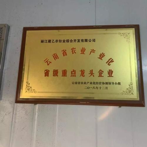 丽江高原鸡哪里买_丽江高原鸡多少钱一斤
