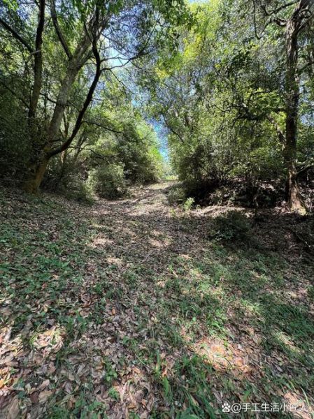 曲靖户外运动俱乐部哪家好_曲靖徒步路线推荐