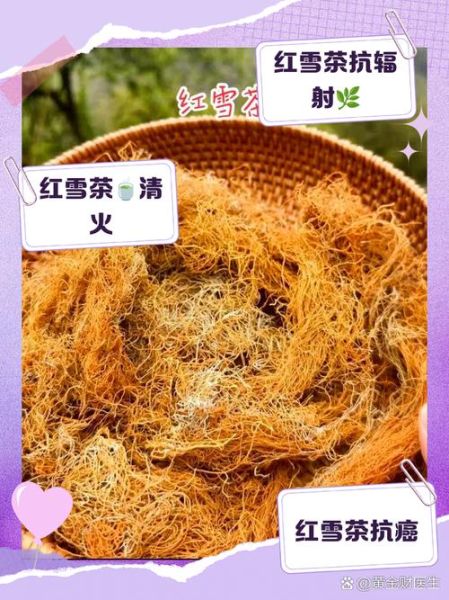 新疆会有高原红吗_高原红成因与预防