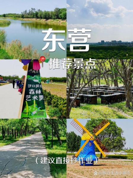 东营户外去哪玩_东营露营哪里好