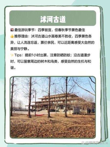 临沭高原在哪里_临沭高原有什么特色