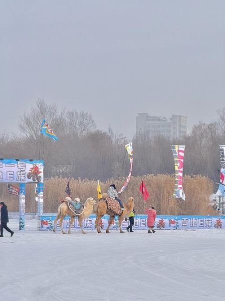 新疆冰雪节什么时候举办_有哪些特色活动
