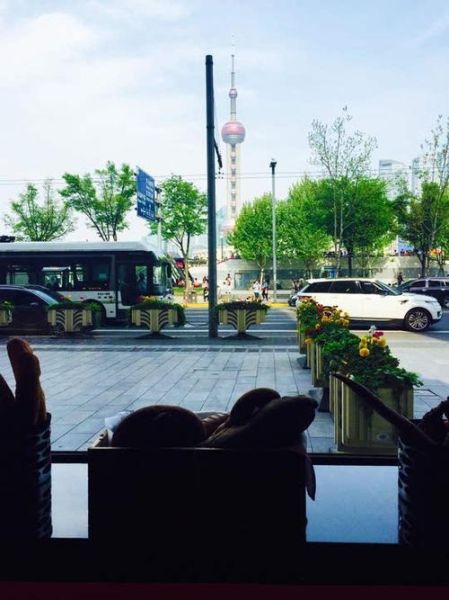 上海疯驴户外俱乐部怎么样_适合新手吗