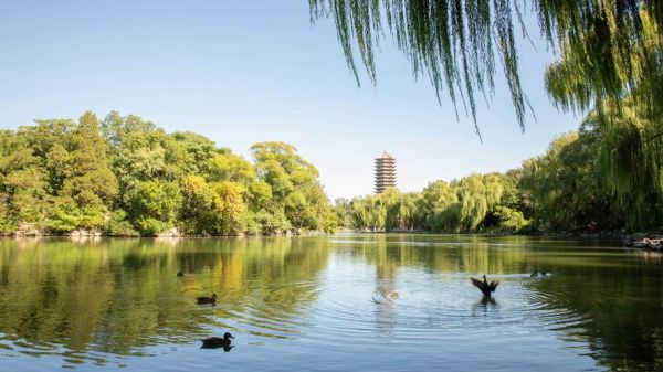 北京大学壁纸哪里下载_北京大学壁纸高清原图