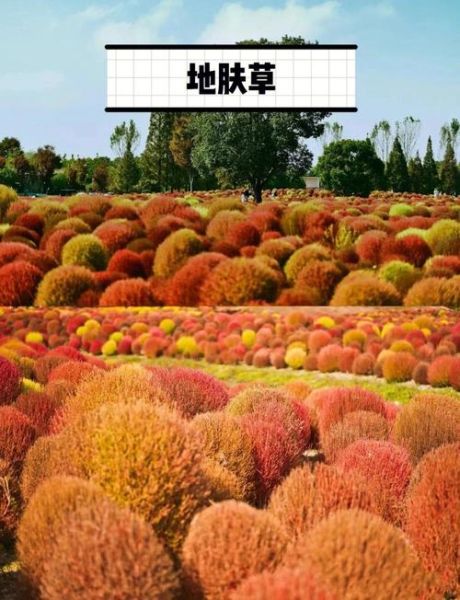 上海飞思拓户外俱乐部怎么样_周末徒步路线推荐