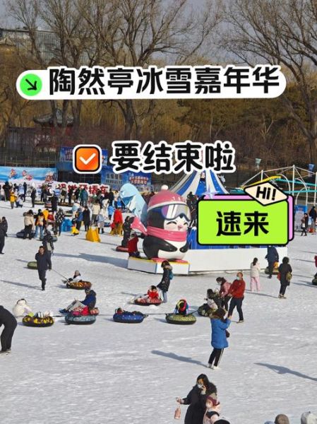 仙居冰雪嘉年华门票价格_活动亮点有哪些
