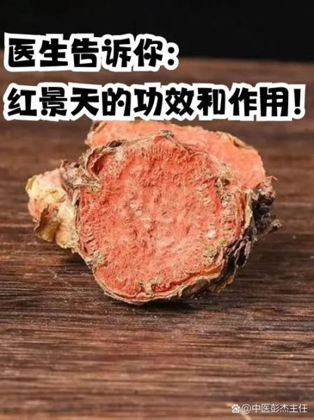 红景天怎么吃预防高原反应_红景天提前几天吃最有效