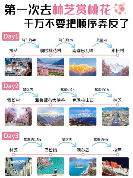 西藏林芝高原反应怎么办_去林芝会高反吗