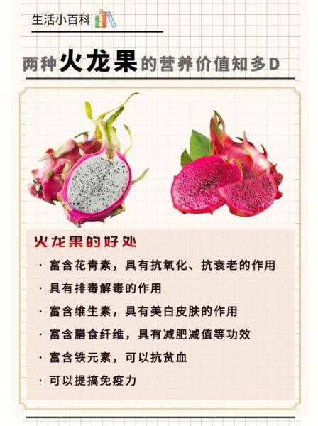 高原火龙果怎么种_高原火龙果营养价值