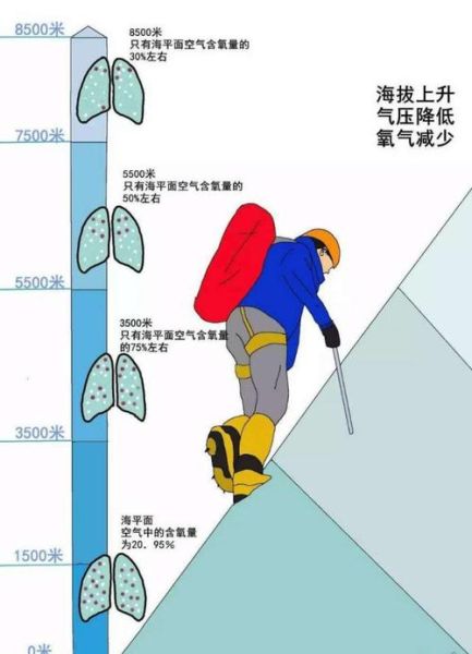 什么人容易高原反应_高原反应症状有哪些
