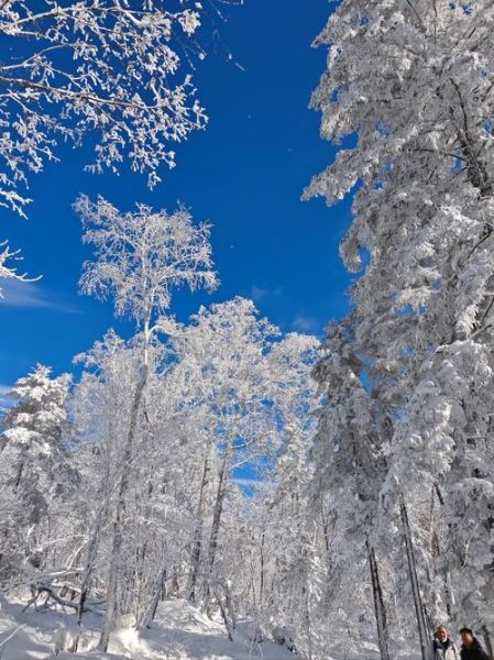 冰雪风光哪里最美_如何拍摄雪景大片