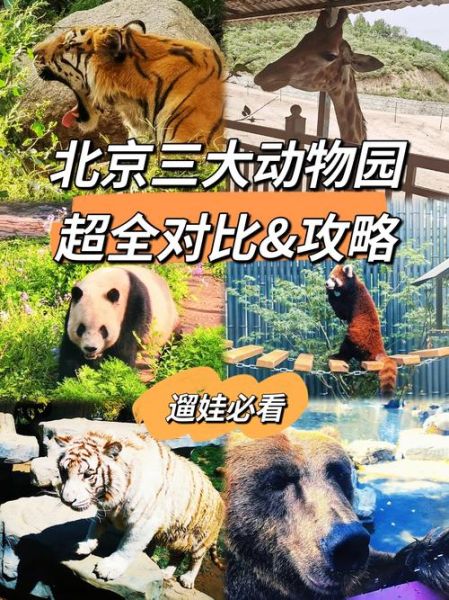 北京动物园多久能逛完_北京动物园游玩时间