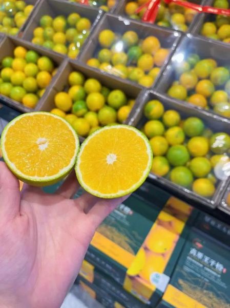 高原王子是什么_高原王子有哪些功效