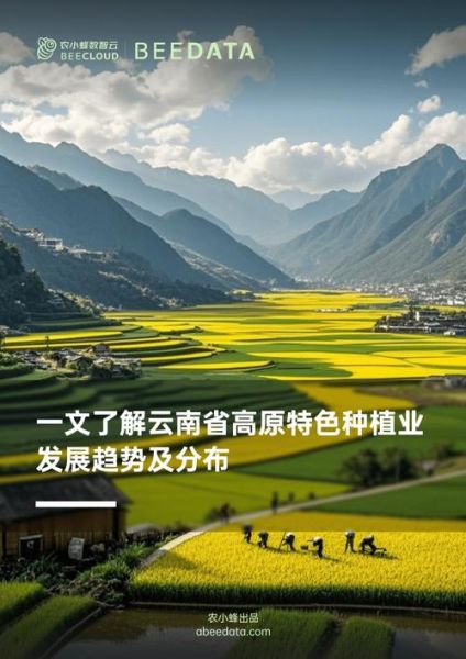 云贵高原气候特点_适合种什么作物