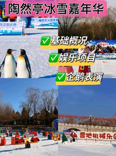 宜宾冰雪嘉年华门票多少钱_怎么去最方便