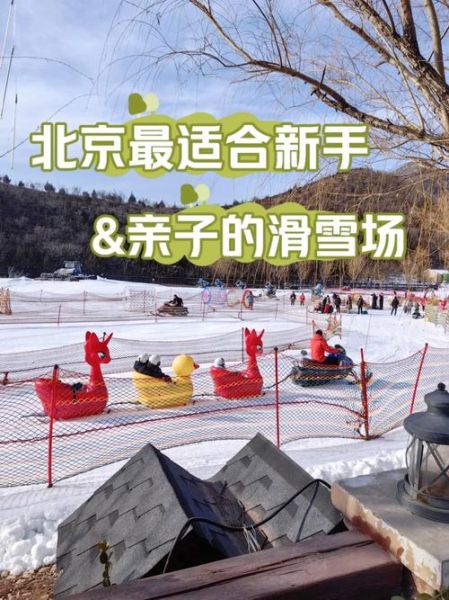 中国冰雪旅游哪里好玩_滑雪初学者适合去哪些雪场