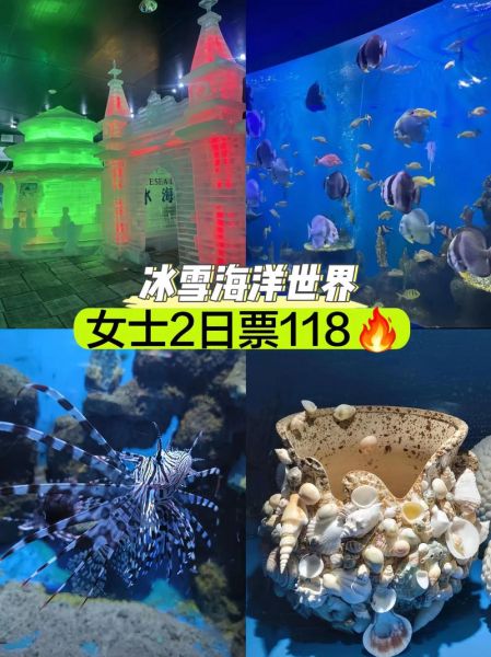 冰雪大海旅游攻略_几月份去最合适