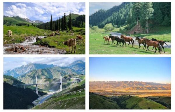 伊犁有高原吗_海拔多少米