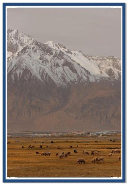 伊犁有高原吗_海拔多少米