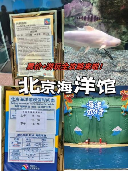 北京动物园海洋馆门票价格_怎么买最划算