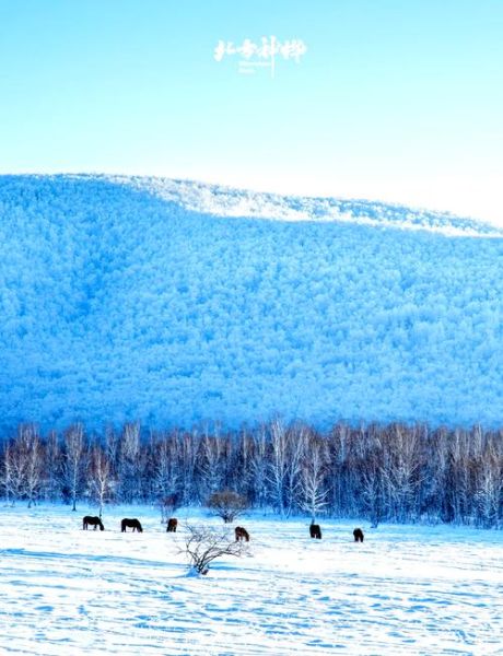 蒙古高原雪景怎么拍_蒙古高原雪景最佳时间