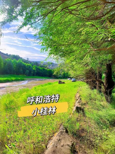 呼和浩特户外群怎么加入_呼和浩特户外群有哪些