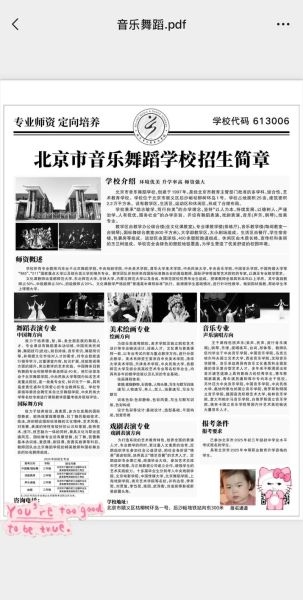 北京市音乐舞蹈学校怎么样_北京市音乐舞蹈学校招生条件