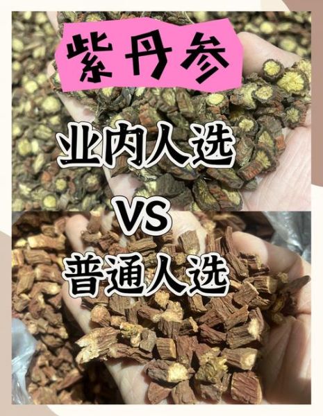 高原反应丹参有用吗_高原反应吃丹参多久见效