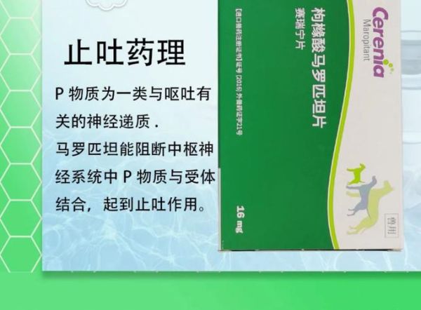 高原反应吐了怎么办_高原呕吐吃什么药