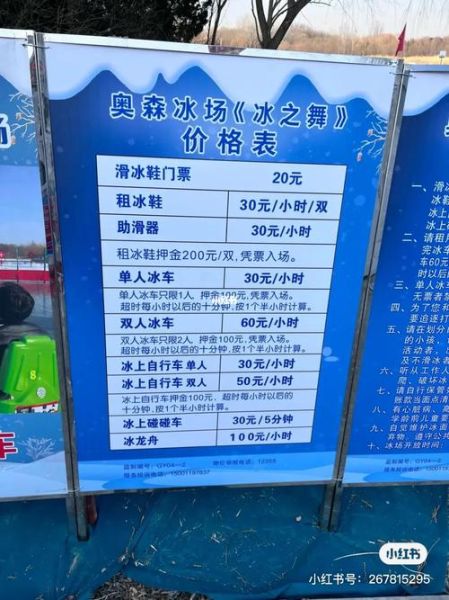 奥森冰雪门票价格_奥森冰雪什么时候开放