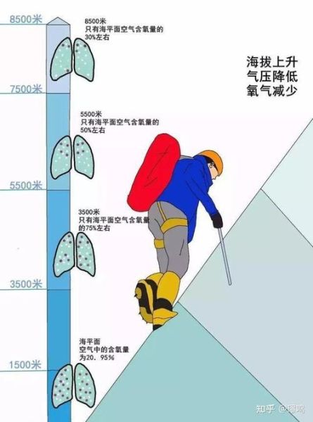 小孩子去高原会不会高反_高原反应症状有哪些