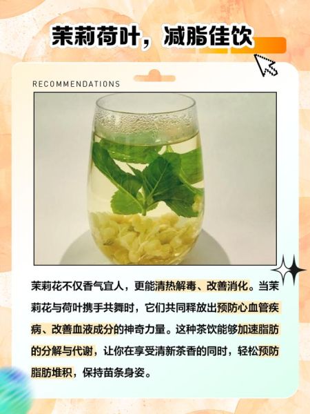 冰雪荷叶的功效与作用_冰雪荷叶减肥正确吃法