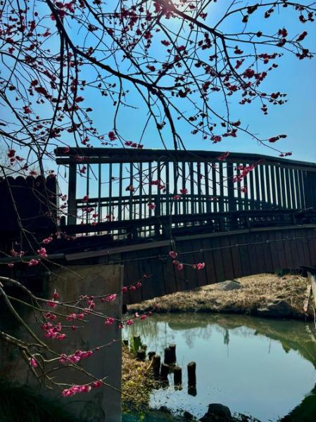 探梅户外怎么样_探梅户外适合新手吗