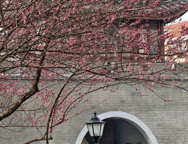 探梅户外怎么样_探梅户外适合新手吗