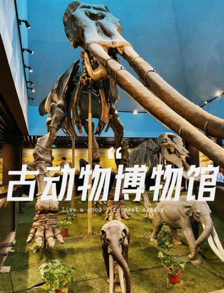 北京古生物博物馆门票价格_值得去吗
