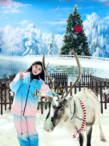 武汉冰雪王国穿什么_武汉冰雪王国需要带什么
