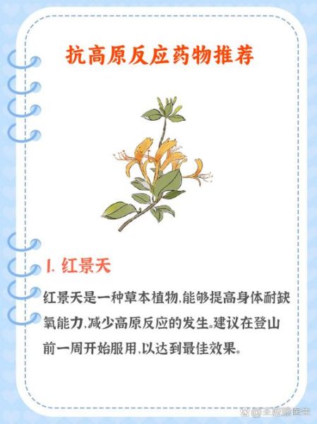 去新疆高原反应怎么办_去新疆高原反应吃什么药