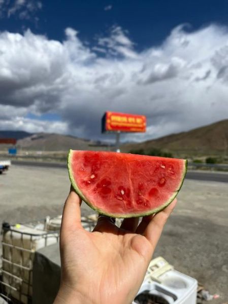 高原反应怎么预防_高原反应吃什么药好